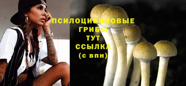PSILOCYBIN Белоозёрский