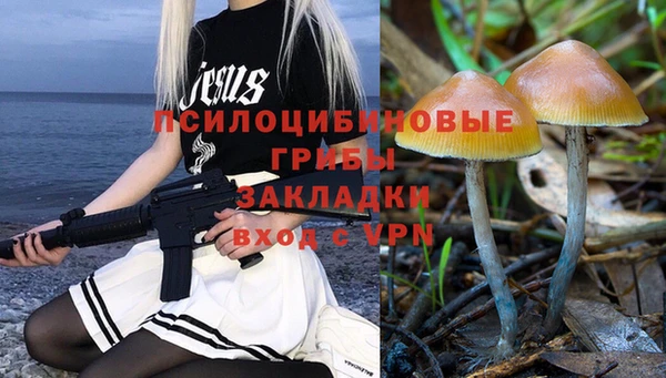 прущий лед Богданович