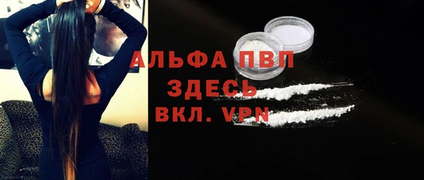 прущий лед Богданович