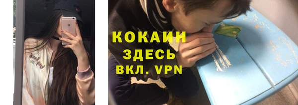 молекула духа Богородицк
