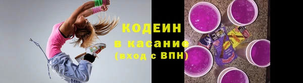 молекула духа Богородицк
