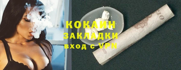 молекула духа Богородицк