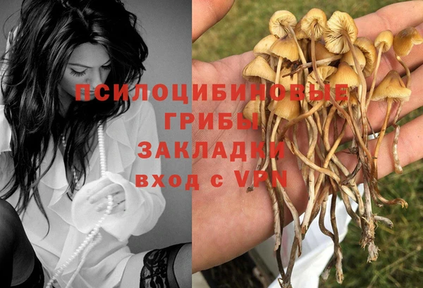 гашиш Белокуриха